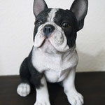 フレンチブルのオブジェです。とっても可愛いですよ～♪　W170×H175×D110㎜　￥3,630