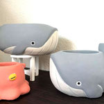 かわいいクジラとメンダコモチーフの植木鉢です。　メンダコ￥572　手前のクジラ￥1,045　奥のクジラ￥1,320