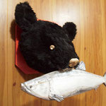 A Bear Hunting trophy "with a salmon"  / 熊のハンティングトロフィー（鮭付き）