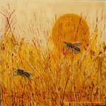 "Summer Field 01" Mixed Media on Linen (Price on request) / Mixed Media auf Leinen (Preis auf Anfrage) 80 x 80 cms