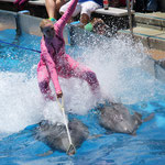 Sea World