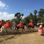 Escaramuza Charra Las Golondrinas 