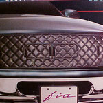 Fia winter front
