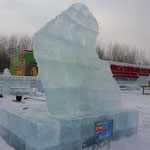"ICE LIQUEN" - Ice (400x400x130 cm.) 