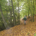 Indian Summer (fast, bis auf die Sonne)