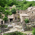Bardou