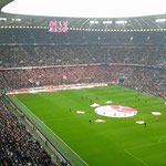 14. Februar 2015 - Bayern München - Hamburger SV