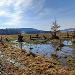 Pflegemaßnahme (Xaver Gilch)