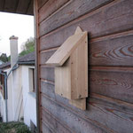 Refuge/dortoir pour nos chauve-souris/pipistrelles