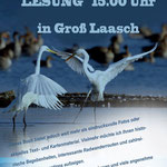 Verein Groß Laasch Flexibel e.V., Fotobearbeitung Andrea Weinke