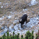 AKUT Bergtour, Tirol, Karwendel, Nordkette