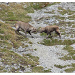 AKUT Bergtour, Tirol, Karwendel, Nordkette