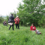 Le groupe "photo" entre en action sur les bords d'une prairie parsemée d'orchidées