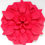 Rosette Aaron