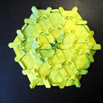 Rosette Insa