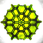 Rosette Insa transparent