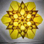 Rosette Carmen transparent