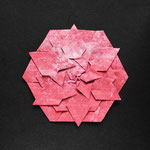 Rosette Antje