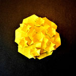 Rosette Stella