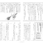 小学５年『大造じいさんとガン』