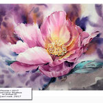 Peonie I 2017 (10) / Watercolour 30x40cm on Arches CP © janinaB. 2017