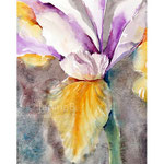 Iris I 2021 (O1) 15x20cm / Watercolour by ©janinaB. 