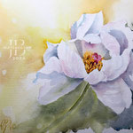 Peonie I 2024 (O3) 20x30cm / Watercolour by ©janinaB.
