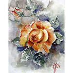Rose II 2022 15x20cm / Watercolour by ©janinaB.