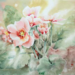 Primula I 2021 (32) 30x40cm / Watercolour by ©janinaB. 