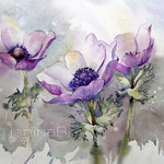 Anemones II 2022 (T1) 30x40cm / Watercolour by ©janinaB.