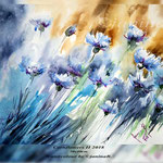 Cornflowers II 2018 (22) / 30x40cm Watercolour by ©janinaB.