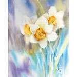 Daffodils VI 2021 (32) 30x40cm / Watercolour by ©janinaB. 