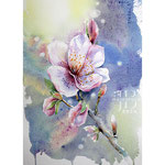 apple blossom I 2024 (O3) 20x30cm / Watercolour by ©janinaB.