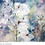 Delphinium VI 2018 / 30x40cm / (22) / Watercolour by ©janinaB.