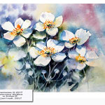 Anemones III 2017 (8) / Watercolour 30x40cm on Arches CP © janinaB. 2017
