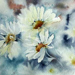daisies II (8) / Aquarell 23x30 © janinaB.