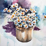 daisies I 2020 (30) / 30x40cm Watercolour by ©janinaB.