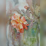 Rose II 2020 (30) / 30x40cm  Watercolour by ©janinaB. 