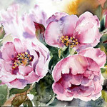 Rosen 2014 (18) / Watercolour 22x30cm