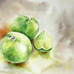Limes I 2021 (O4) / Watercolour 20x30cm © janinaB. 