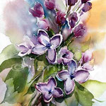 Flieder (O3) / Aquarell 22x15cm