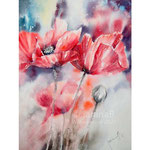 #Poppies II 2021 (T1) 30x40cm / #Watercolour by ©janinaB. 