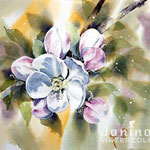 Apple blossom II 2020 (28) / 30x40cm  Watercolour by ©janinaB.