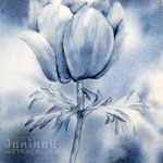 Anemone I 2020 (O3) / 20x30cm Watercolour by ©janinaB.