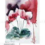 Cyclamen II 2017 (O1) / Watercolour 18x24cm on Arches ©janinaB.2017