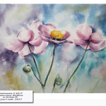 Anemones II 2017 (14) / Watercolour 30x40cm on Arches CP © janinaB. 2017