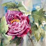 Peony II 2020 (30) / 30x40cm Watercolour by ©janinaB. 