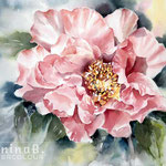 Peony I 2020 (28) / 30x40cm  Watercolour by ©janinaB.
