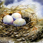 Nest I 2020 (O4) / Watercolour 20x30cm © janinaB. 2020