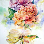 verblühte Rosen (15) / Watercolour 30x40cm